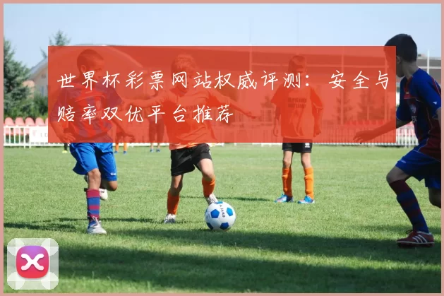 世界杯彩票网站权威评测：安全与赔率双优平台推荐
