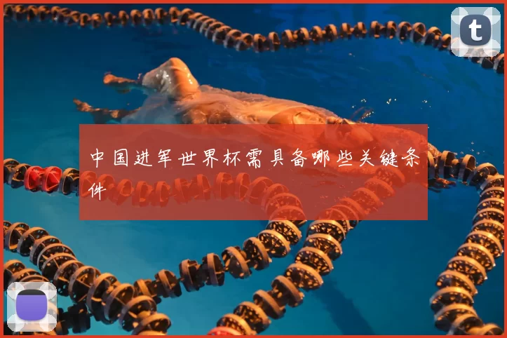 中国进军世界杯需具备哪些关键条件