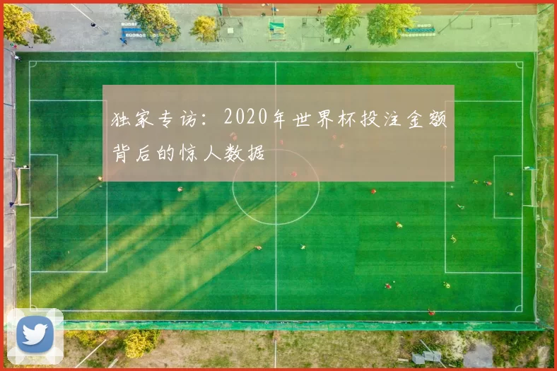 独家专访:2020年世界杯投注金额背后的惊人数据