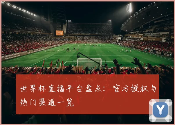 世界杯直播平台盘点：官方授权与热门渠道一览