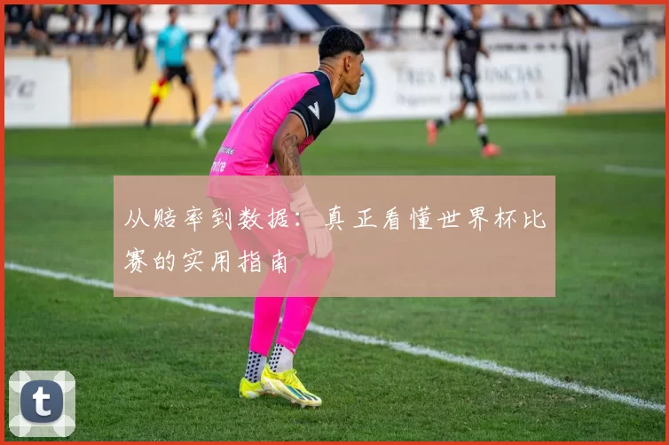 从赔率到数据：真正看懂世界杯比赛的实用指南