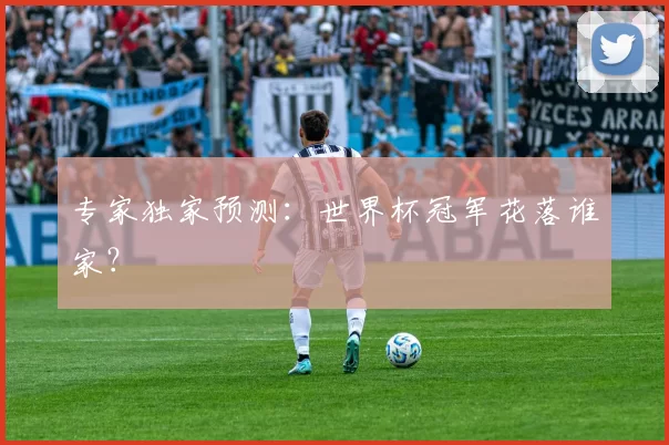 专家独家预测:世界杯冠军花落谁家?