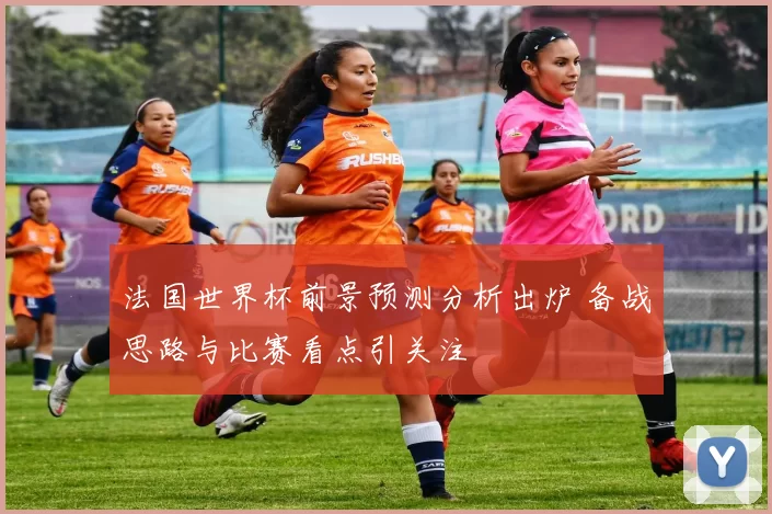 法国世界杯前景预测分析出炉 备战思路与比赛看点引关注