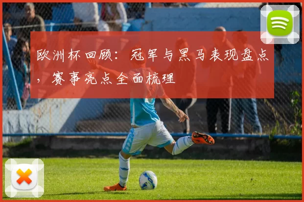 欧洲杯回顾：冠军与黑马表现盘点，赛事亮点全面梳理