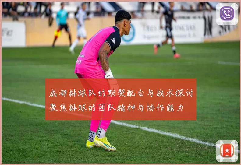 成都排球队的默契配合与战术探讨聚焦排球的团队精神与协作能力