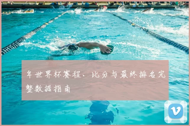 年世界杯赛程、比分与最终排名完整数据指南