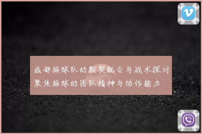 成都排球队的默契配合与战术探讨聚焦排球的团队精神与协作能力